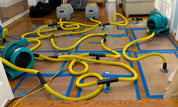 Professional Storm Water Damage Restoration technician working in Lakeland, MN